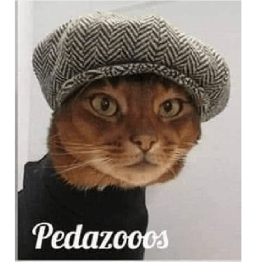 Para que o que 6
