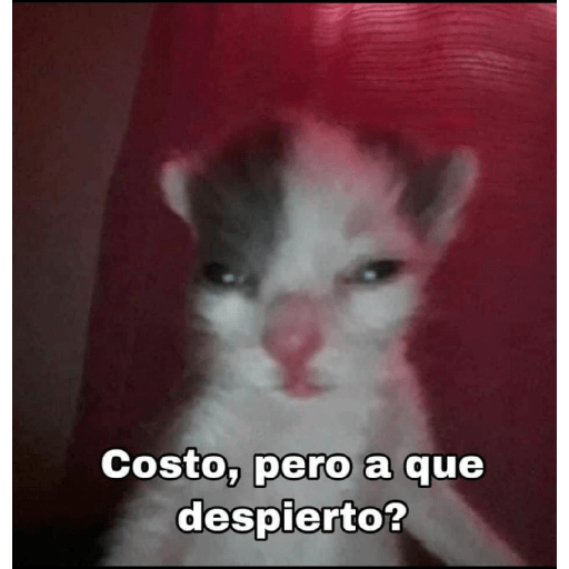 Para que o que 16