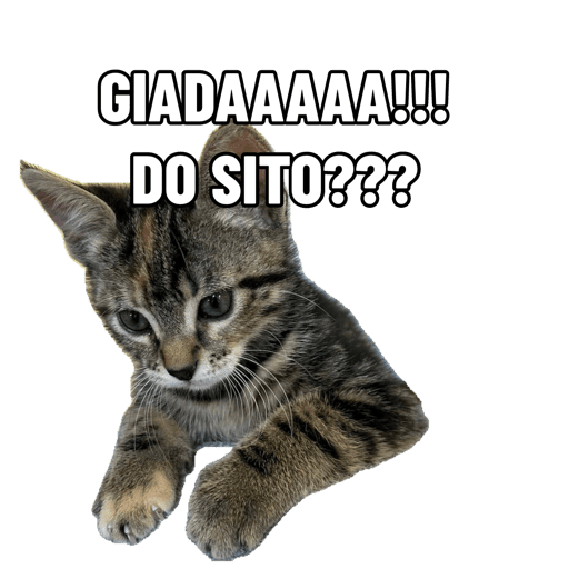 I miei adesivi 27