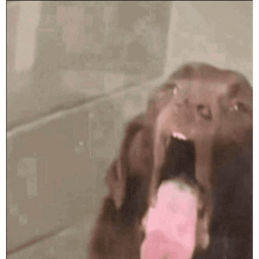 Gffft 9