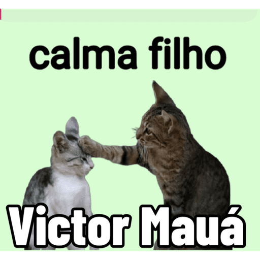 Minhas figurinhas 1