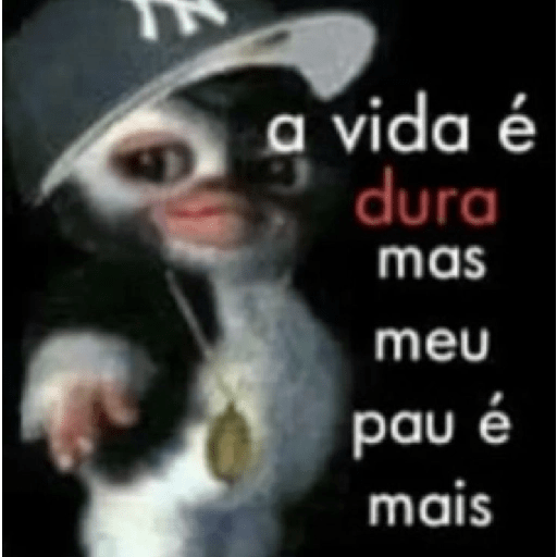 Se vc leu seu cu é meu 20