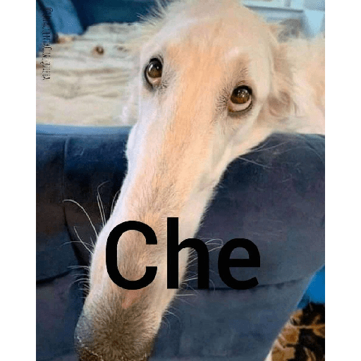 Shitposting 18