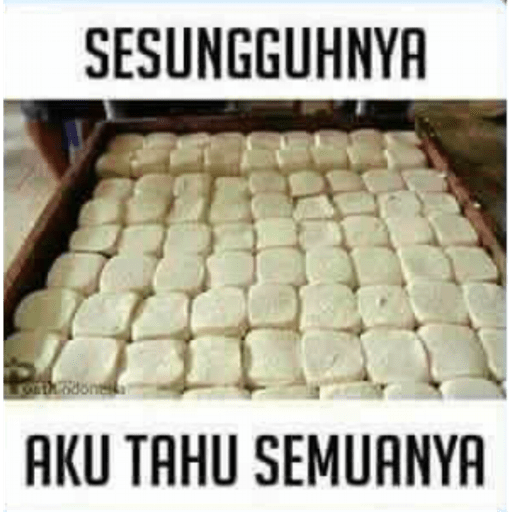 Bebeku 2 8
