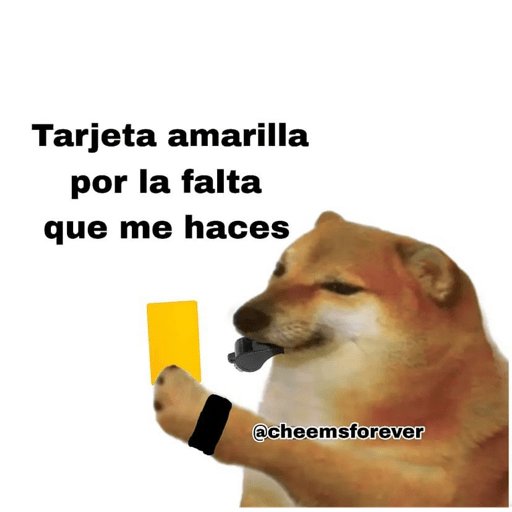 Chemss