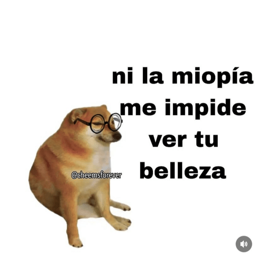 Chemss