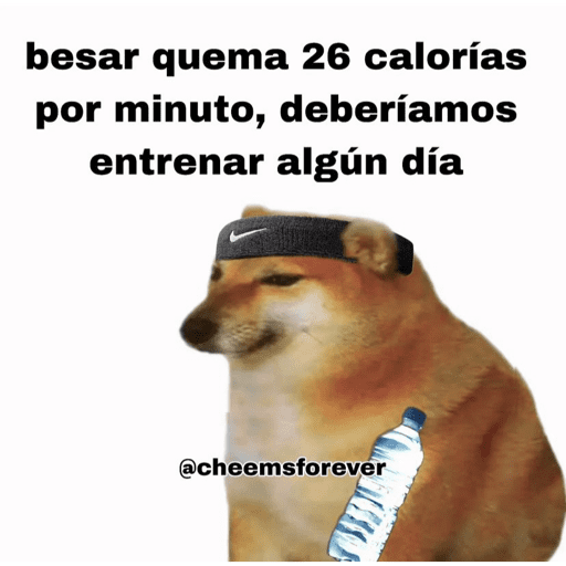 Chemss