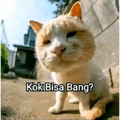 Gak boleh 14
