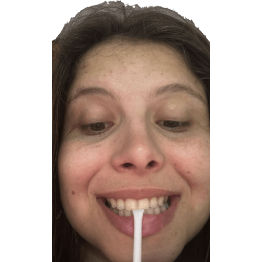 Dog 16