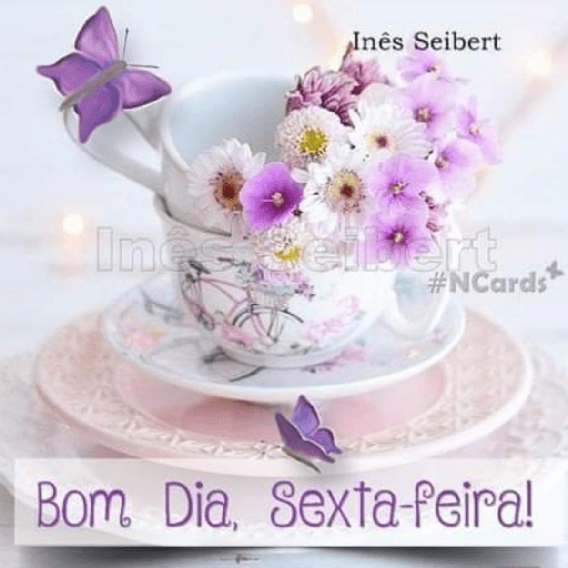 Bora d+! 20