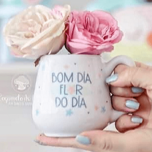 Bora d+! 1