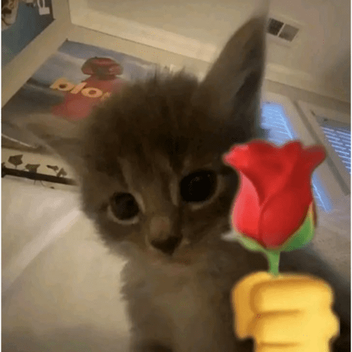 My stickers 5
