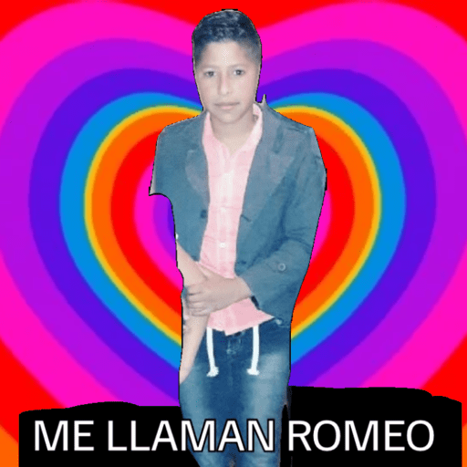 Mis pegatinas