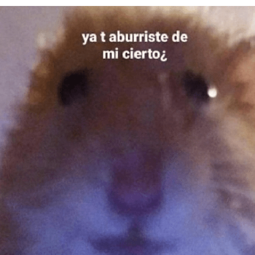 Ramdom uwu parte2 13