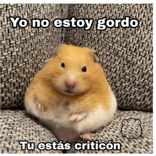 Ramdom uwu parte2 8