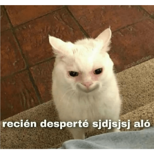 Ramdom uwu parte2 4