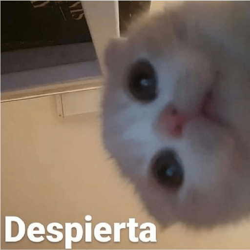 Ramdom uwu parte2 3