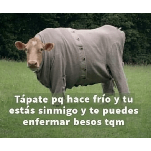 Ramdom uwu parte2 2