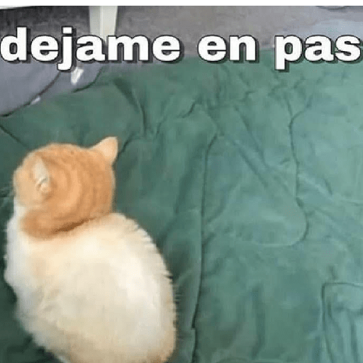Ramdom uwu parte2 21