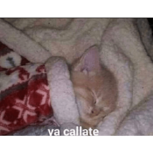 Ramdom uwu parte2 6