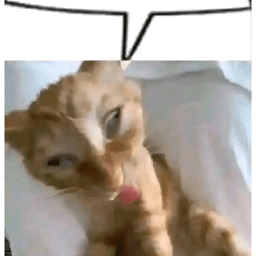 Udah yappingnya? 4