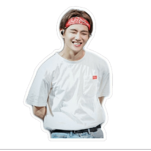 BTS 5
