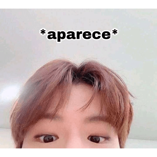 Kpop meme 2 18