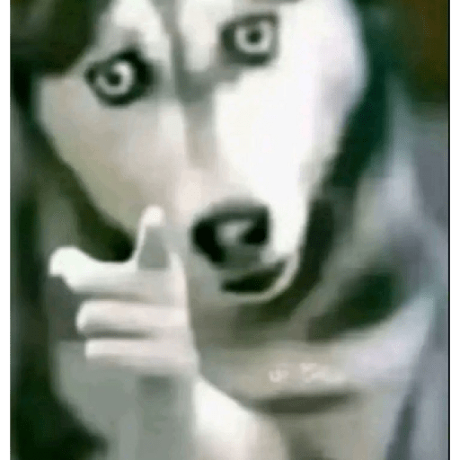 Tiktok stickers 15