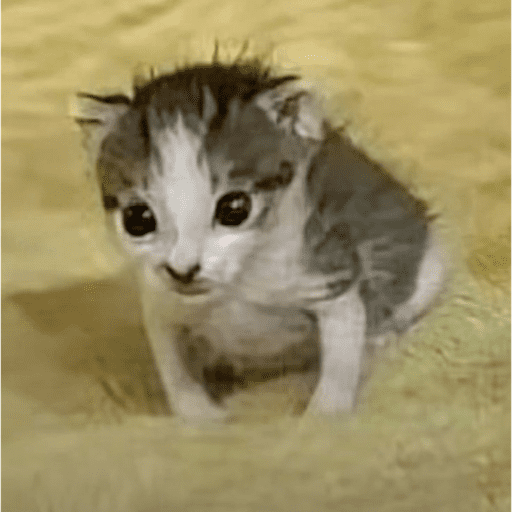 Hgggg