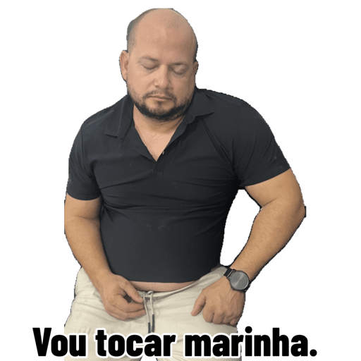 Minhas figurinhas 9