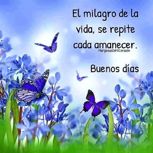 Buenos días 14