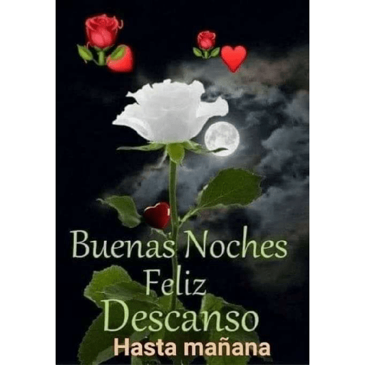Buenos días 28