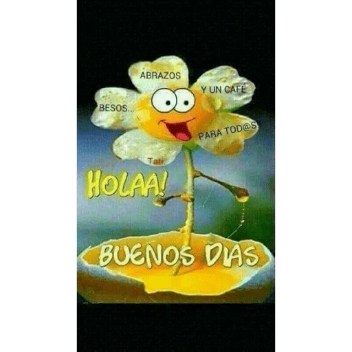 Buenos días 16