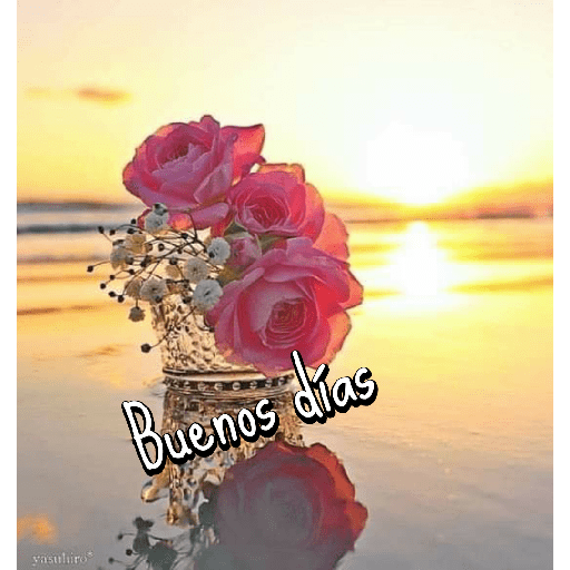 Buenos días 25