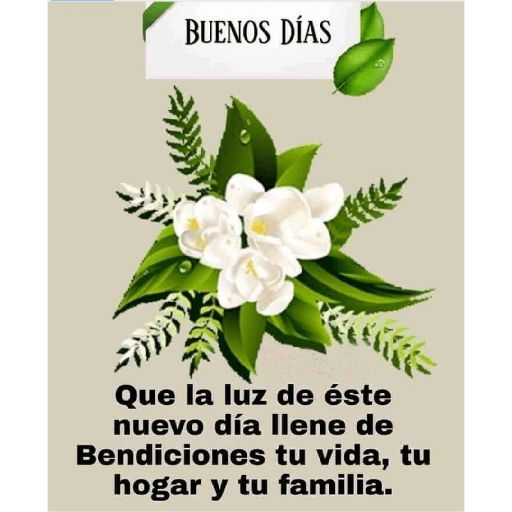 Buenos días 17
