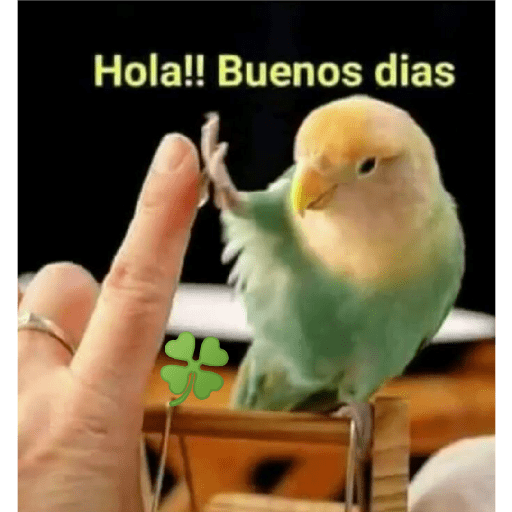 Buenos días 19