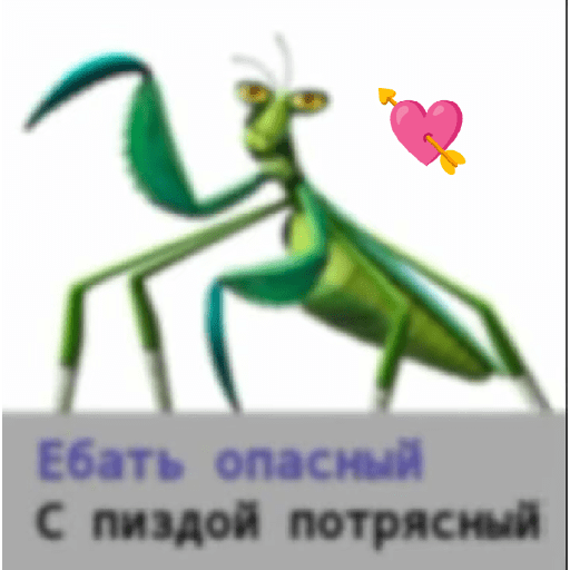 Мои стикеры