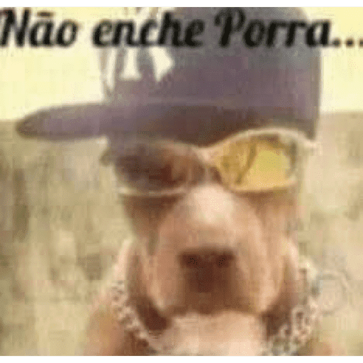 Gracinha 16