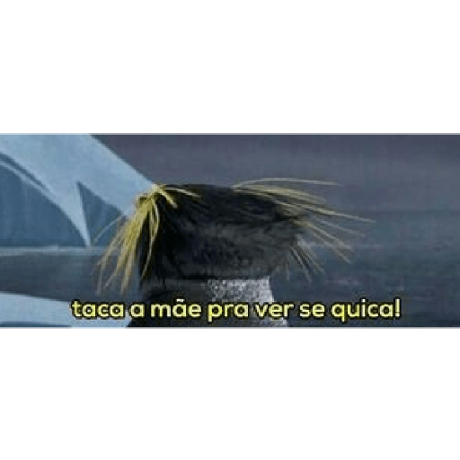 Reações 3