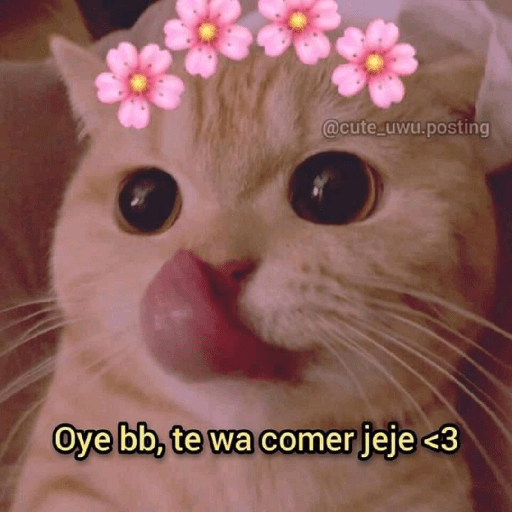 💘frases bonitas 💌💘 3