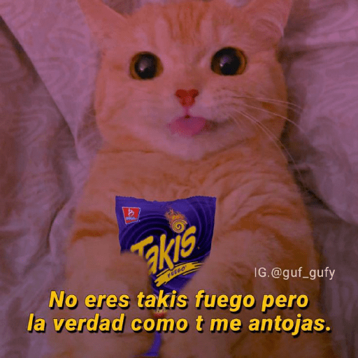 💘frases bonitas 💌💘 4