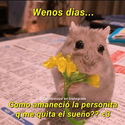 💘frases bonitas 💌💘 18