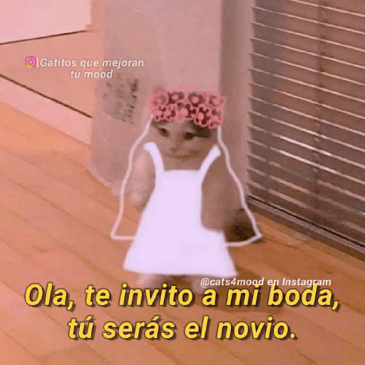 💘frases bonitas 💌💘 17