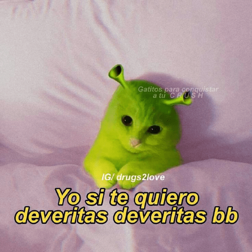💘frases bonitas 💌💘 2