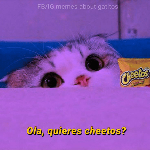 💘frases bonitas 💌💘 6