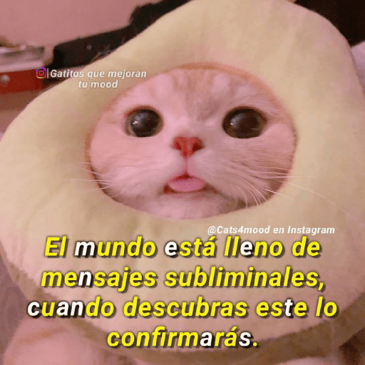 💘frases bonitas 💌💘 29