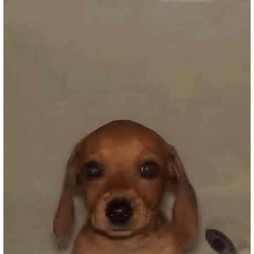 Jajajajas 11