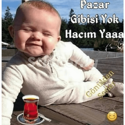 Kedicik 13