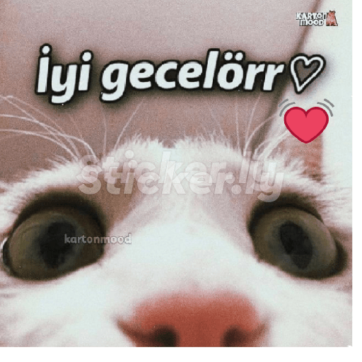 Kedicik 1