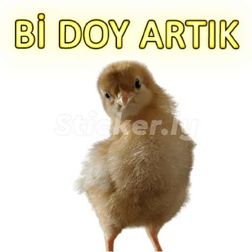 Kedicik 14